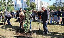 Sto nowych dębów na Targówku