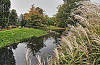 Malownicze Stawy Kellera. "Pięknie, ale brudno"