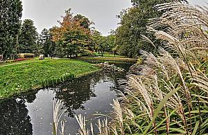 Malownicze Stawy Kellera. "Pięknie, ale brudno"