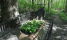 Lotnisko na Bielanach? Pas startowy liczył 700 metrów