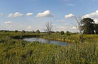 Urzecze: mała Holandia nad Wisłą