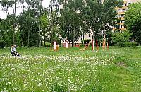 Plan dla okolic ul. Synów Pułku uchwalony. "Będziemy mieli ładny park"