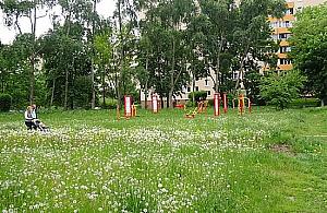 Plan dla okolic ul. Synów Pułku uchwalony. "Będziemy mieli ładny park"