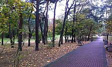 Nieustające burdy w parku. "Durnie robią nagie zdjęcia z papieżem"