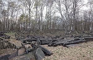 "Nie dawali spokoju nawet nieboszczykom". Koniec dewastacji cmentarza na Bródnie