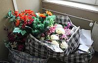 8 lat więzienia za kradzież... kwiatów?