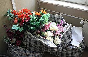 8 lat więzienia za kradzież... kwiatów?