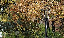 Spacerkiem po Płatniczej. "Najpiękniejsze miejsce na randkę"