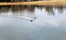Jesień nad zalewem. "Można się ukryć przed miastem i ludźmi"