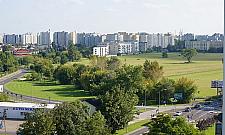 Tysiące mieszkań na polu dawnego PGR. Zniknie "kultowe" drzewo