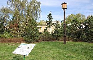 Ptasia ścieżka. Nietypowy spacer po Bielanach