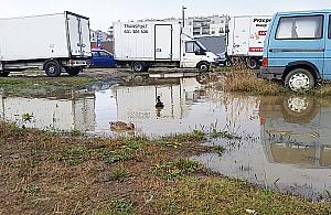 "Zakochaj się w Warszawie", czyli białołęcka jesień