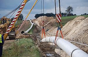 1500 drzewek za gazociąg. "Chcą się wykpić tanim kosztem?"