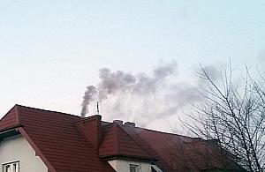 Smog w Wawrze? Zielona dzielnica ma palący problem