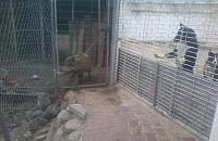Sadyzm czy internetowa prowokacja? Burza wok� hodowli na Bia�o��ce