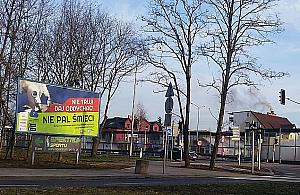 Mapa trucicieli hitem. Liczba wpisów rośnie lawinowo