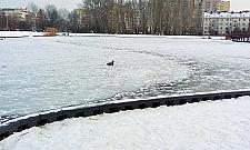 Stawy Brustmana po liftingu. Czekamy na wiosnę