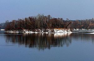 Bielika cień. Zimowa wycieczka nad Wisłę