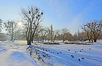 Deszcz pieniędzy na Wolę. Rekordowy rok