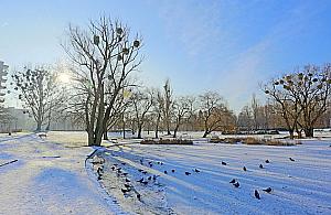 Deszcz pieniędzy na Wolę. Rekordowy rok