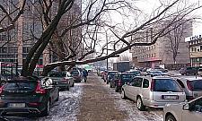 Co dalej z Chłodną? "Mamy projekt rewitalizacji"