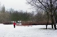 Południowe Jelonki pozostaną zielone. Zyskają ekopark?