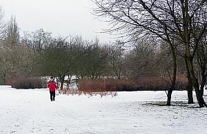 Południowe Jelonki pozostaną zielone. Zyskają ekopark?