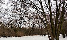 Południowe Jelonki pozostaną zielone. Zyskają ekopark?