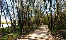 Plaża dla Bielan. W miejscu wyjątkowej urody