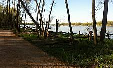 Plaża dla Bielan. W miejscu wyjątkowej urody