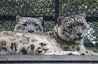 Rewolucja w ZOO. Rusza wielka przebudowa