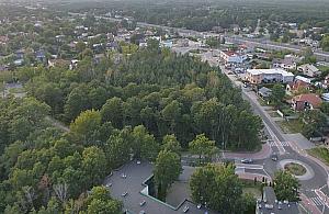 Wytną las na legionowskim Przystanku?