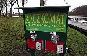 W Forcie Bema staną kaczkomaty? Resztki chleba przyciągają szczury
