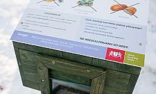 W Forcie Bema staną kaczkomaty? Resztki chleba przyciągają szczury