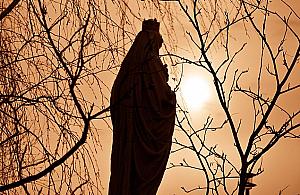 "Perełki" w ratuszu. Przyjdź i odbierz niezwykłą książkę