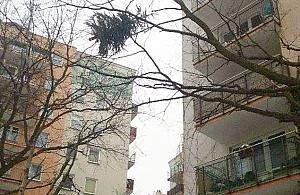 Osiedlowe brudasy zmorą sąsiadów. "Takie obrazki to codzienność"