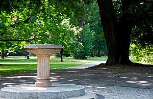 Pięć źródełek wody pitnej na Tarchominie?