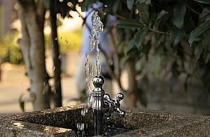 Tu za darmo napijesz się wody. Sieć źródełek oplecie Bielany?