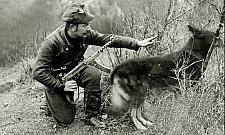 Gloria victis, czyli refleksja na 1 marca