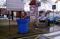 Inwazja plastikowych donic. "Przygarnęliśmy piętnaście"