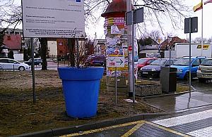 Inwazja plastikowych donic. "Przygarnęliśmy piętnaście"