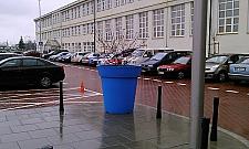 Inwazja plastikowych donic. "Przygarnęliśmy piętnaście"