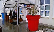 Inwazja plastikowych donic. "Przygarnęliśmy piętnaście"