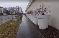 Plastikowe donice nad stawem. Wiceburmistrz współczuje