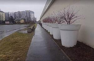 Plastikowe donice nad stawem. Wiceburmistrz współczuje