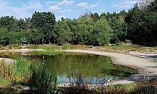 Niezwykły Wawer. Najbardziej malownicze miejsca