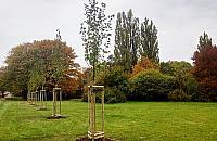 Sadzimy drzewa i szukamy miejsc na kolejne