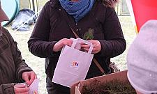 Zazielenić Bielany. Odpowiedź na masową wycinkę