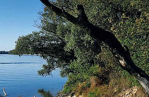 Eksploratorzy przyrody. Fascynujący cykl wycieczek po Wawrze