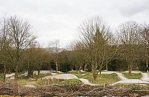 Raj dla młodych rowerzystów. W tym roku powstanie pumptrack